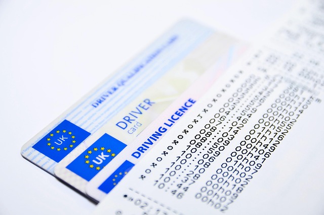 digital print, truck driver, kilometers, printed, driving record, rest, tacho, tachograph, driving time, working time, driving time printout, driver card, driving license, driving license, driving license, driving license, driving license, driving license